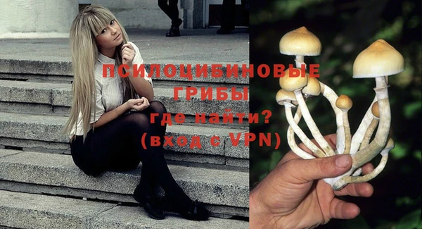 соль курить ск Ладушкин