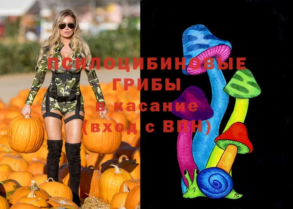 винт Лагань