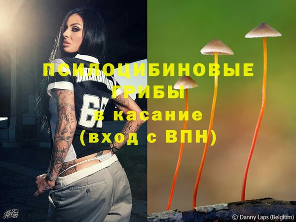 винт Лагань