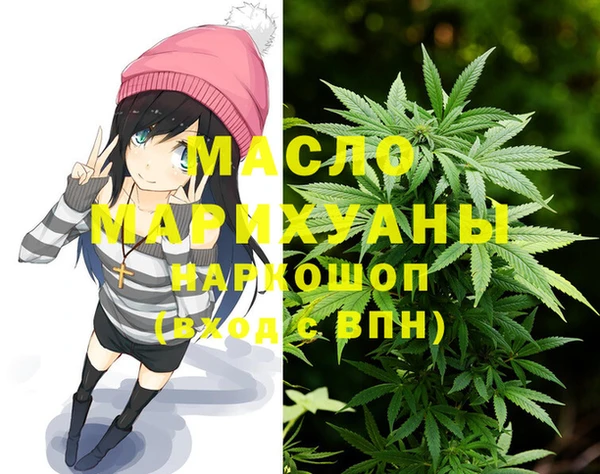 винт Лагань